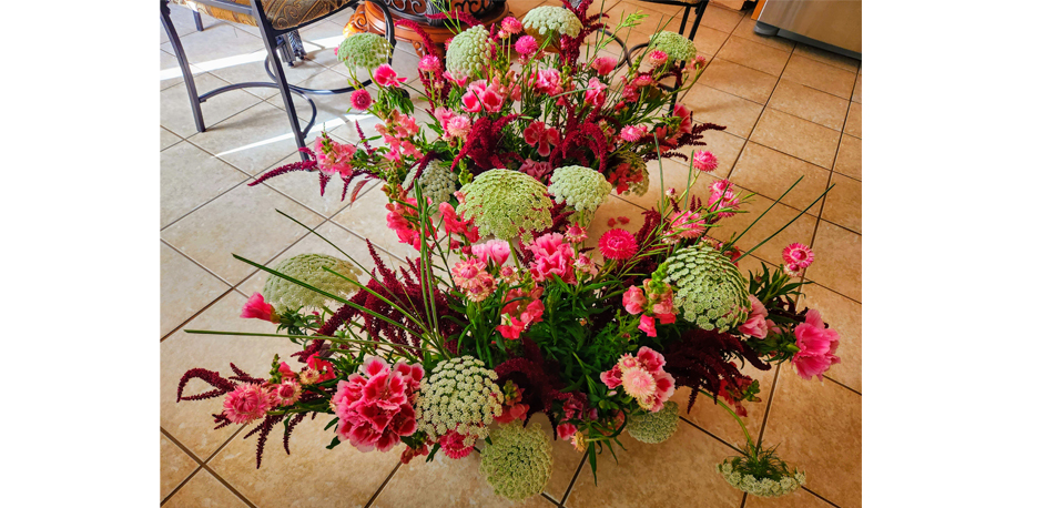 Amaranthus,  Queen Anne’s Lace, Pink Snapdragons, Pink Lisianthus, Pink Strawflower ,  Bok Choy Seed Pods, &  Variegated Japanese Sedge